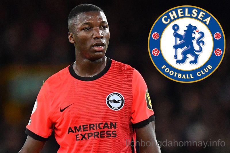 Chelsea Quyết Chiêu Mộ Moises Caicedo